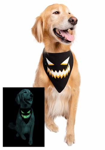 Pet Glow in the Dark Jack O Lantern Bandana