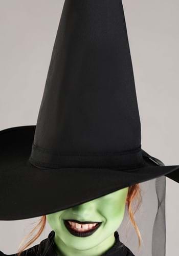 Kid's Wizard of Oz Wicked Witch Costume