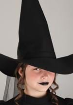 Wizard of Oz Child Wicked Witch Costume Alt 2