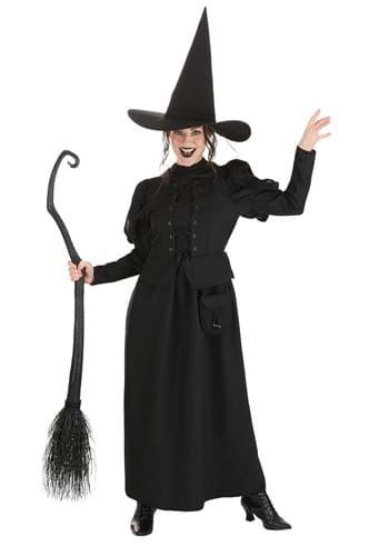 Women's Wizard of Oz Wicked Witch Costume