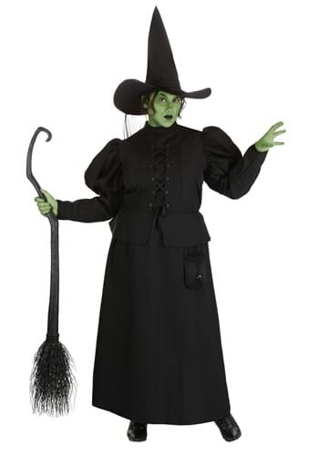 Wizard of Oz Plus Size Adult Wicked Witch Costume