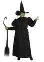 Wizard of Oz Plus Size Adult Wicked Witch Costume