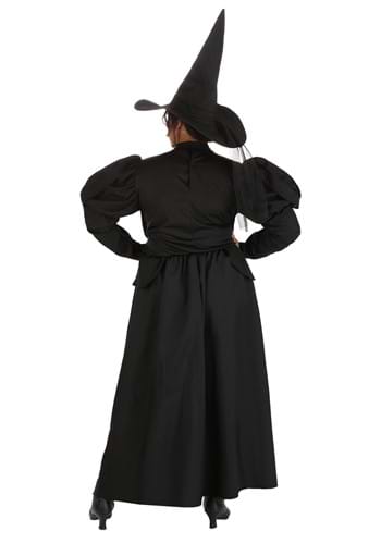 Plus Size Wizard of Oz Wicked Witch Costume for Women