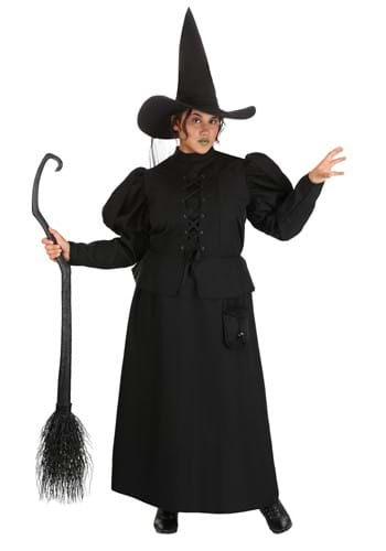 Plus Size Women's Wizard of Oz Wicked Witch Costume
