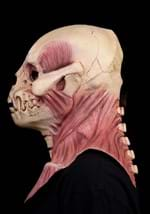 Adult Membrane Latex Mask - Immortal Masks Alt 3