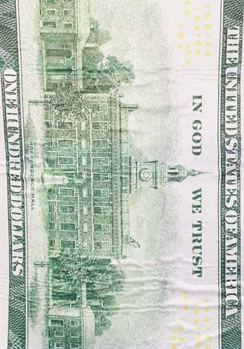 100 Dollar Bill Adult Costume | Money Costumes