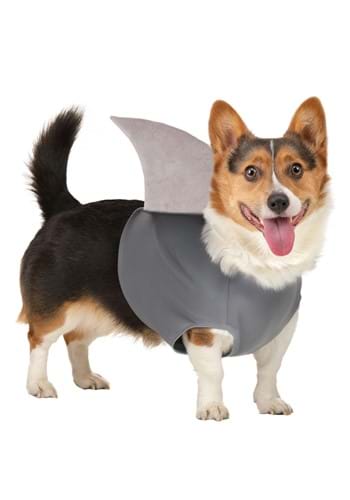 Shark Pet Costume