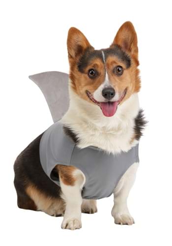 Shark Costume for Pets | Halloween Pet Costumes