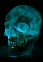 Oversized Skull Lantern Decoration Alt 6