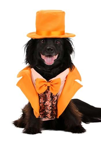 Iconic Orange Tuxedo Pet Costume