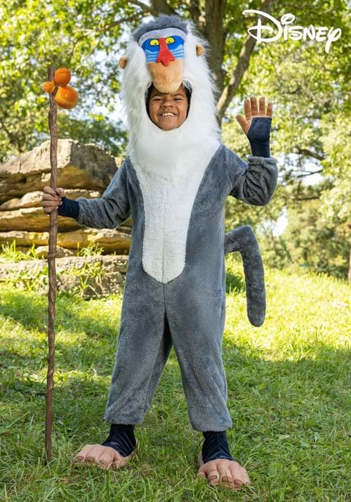 Kids Disney Rafiki Costume