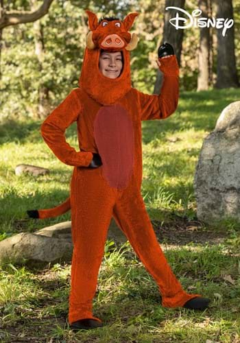 Kids Disney Pumbaa Costume