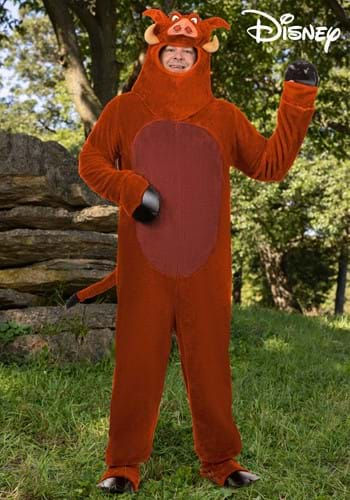 Plus Size Disney Pumbaa Costume