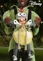 Disney Princess and the Frog Ray Baby Carrier Costume