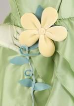 Adult Disney Tiana Costume Alt 7