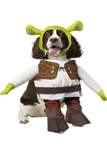 Shrek Pet Costume