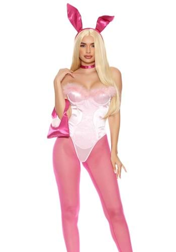 Legal Bunny Sexy Movie Character Costume