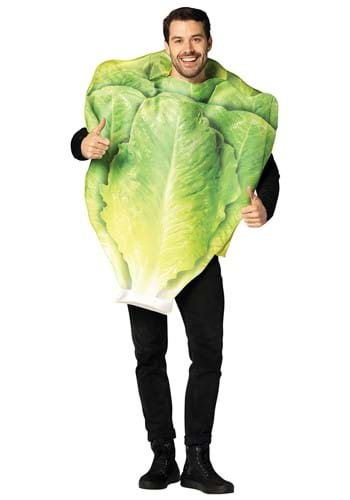 Romaine Lettuce Leaf