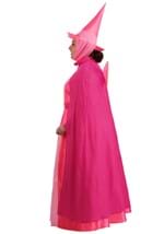 Plus Size Disney Flora Sleeping Beauty Costume Alt 8