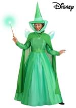 Adult Disney Fauna Sleeping Beauty Costume