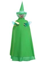 Adult Disney Fauna Sleeping Beauty Costume Alt 1
