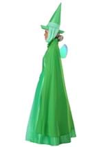 Adult Disney Fauna Sleeping Beauty Costume Alt 2