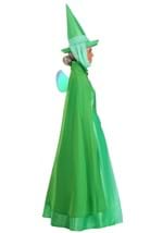 Adult Disney Fauna Sleeping Beauty Costume Alt 3
