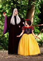 Adult Disney Snow White Witch Costume Alt 2