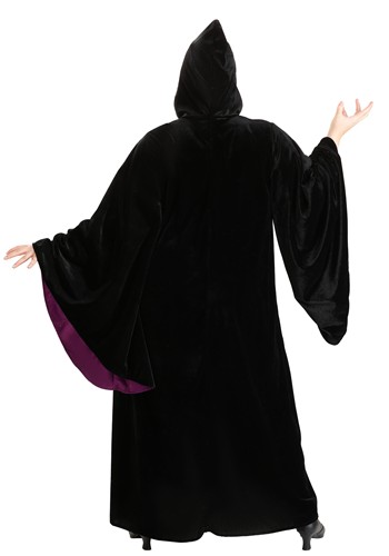 Adult Plus Size Disney Snow White Witch Costume | Disney Costumes