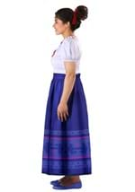 Adult Disney Luisa Encanto Costume Alt 2