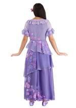 Adult Disney Isabella Encanto Costume Alt 1