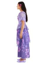 Adult Disney Isabella Encanto Costume Alt 2