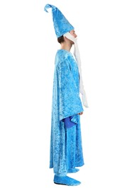 Adult Disney The Sword In The Stone Merlin Costume Disney Costumes