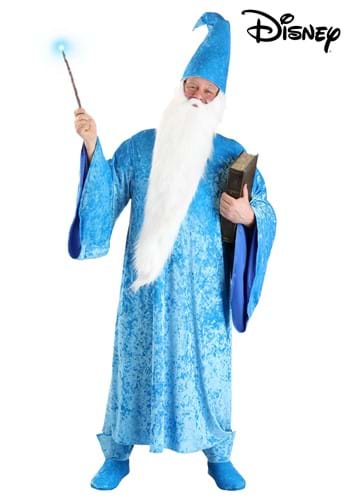 Plus Size Disney Merlin Costume