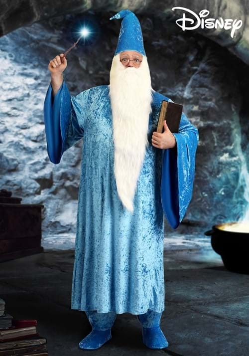 Plus Size Disney Merlin Costume