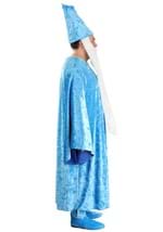 Plus Size Disney Merlin Costume Alt 4