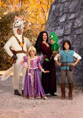 Adult Disney Tangled Maximus Costume | Disney Costumes