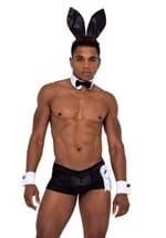 Playboy Men's Hunky Playmate Costume