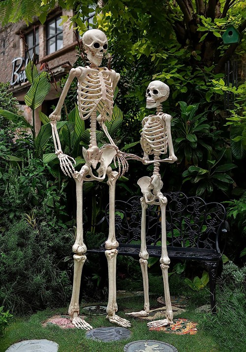 6.1FT Life-Size Skeleton Decoration | Skeleton Decorations