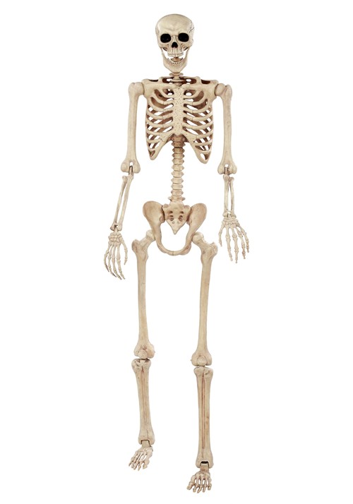 6.1FT Life-Size Skeleton Decoration | Skeleton Decorations