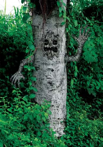 Spooky Living Tree