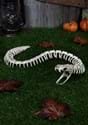 36 Inch Snake Skeleton Decoration