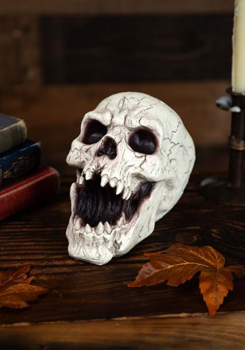 Resin Skull with Sharp Teeth new