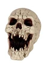 Resin Skull with Sharp Teeth Alt 1