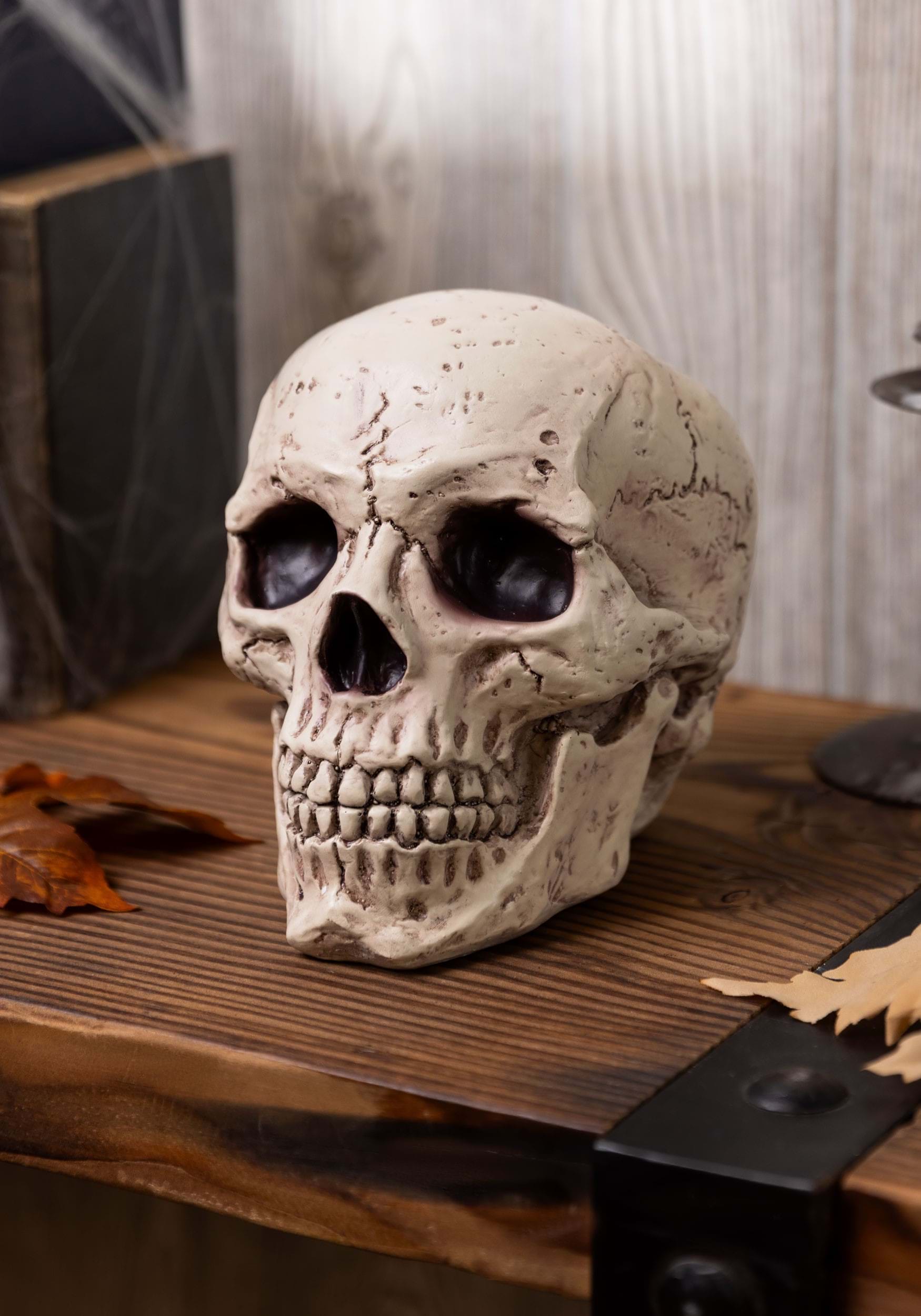 https://images.halloweencostumes.com/products/93253/1-1/resin-skull-new.jpg