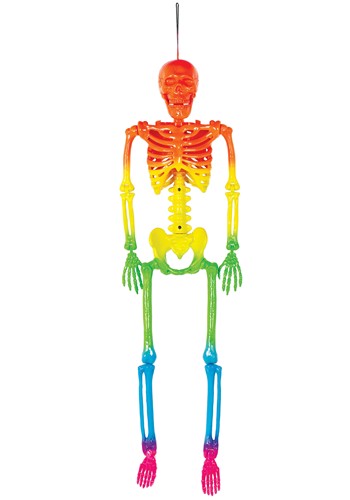 24-Inch Rainbow Skeleton Halloween Prop | Skeleton Decorations