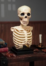 Skeleton Bust with Light Sound Decoration UPD 1