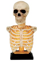 16" Skeleton Bust with Light and Sound Alt 3
