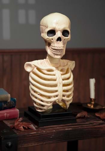 16 Inch Skeleton Bust Decoration with Light and Sound new