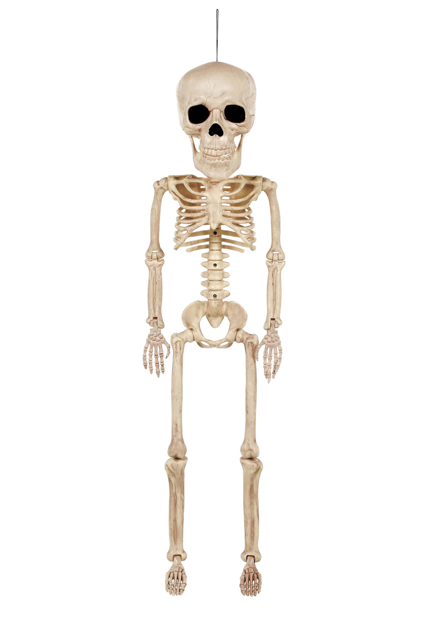 38 Inch Big Head Skeleton Halloween Prop | Skeleton Décor